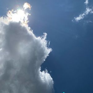 Meet your Posher, Carmen